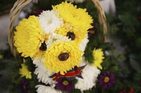 chien fait avec des fleurs